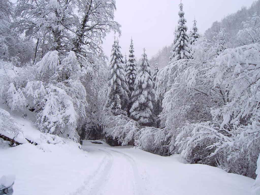 Hostal Rural Arrobi Borda Eugi Esterno foto